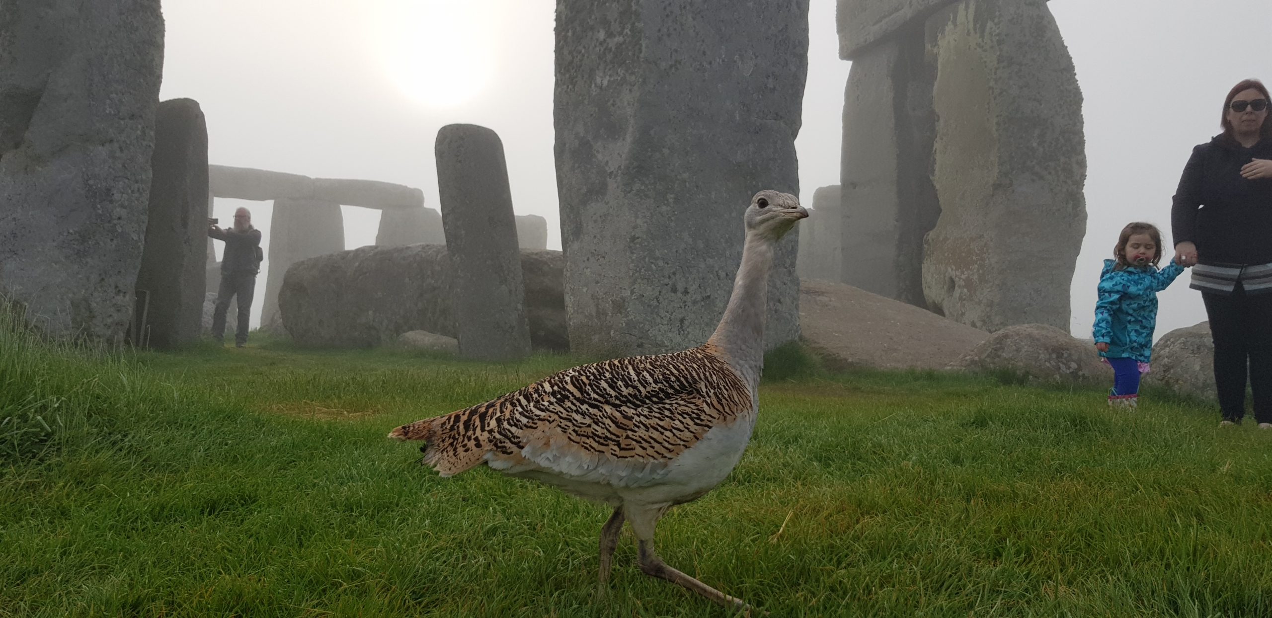 travel salisbury to stonehenge